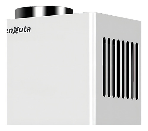 Calentador Instantáneo Calefón A Gas 10 Lts/min En - Galería 2