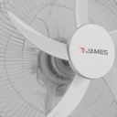 Gallery 4