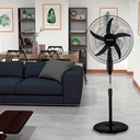 Gallery 3