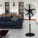 Gallery 3
