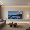 Gallery 5